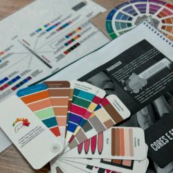 Ferramentas de coloracao pessoal cartela de cores e circulo cromatico